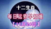 免费测运势2023年运势兔（兔年运势2023年运势12生肖运势）