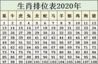 2023年生肖排位码表图片（2023年12生肖属相运势排行榜）