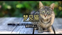 梦见被本身
的猫咬出血（梦见本身
被猫咬一口）