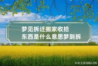 梦见搬家没搬成代表什么意思（梦见搬家没搬成代表什么意思啊）