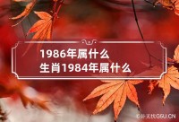 1984年最佳夫妇
（1984年最佳夫妇
属相）