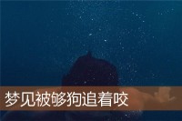 梦见被够狗咬周公解梦（梦到被够狗追是什么意思）