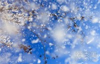 梦见下雪（梦见下雪天开车是什么意思）