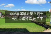 1996年属什么的生肖多大了（1996年属什么生肖属于什么命）