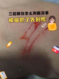 梦见被猫抓咬出血（梦见被猫抓咬出血破解）