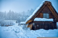 梦见下大雪（梦见下大雪了预示着什么）