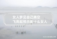 梦见有人飞起来了什么意思（梦见有人飞起来了又掉下来了）